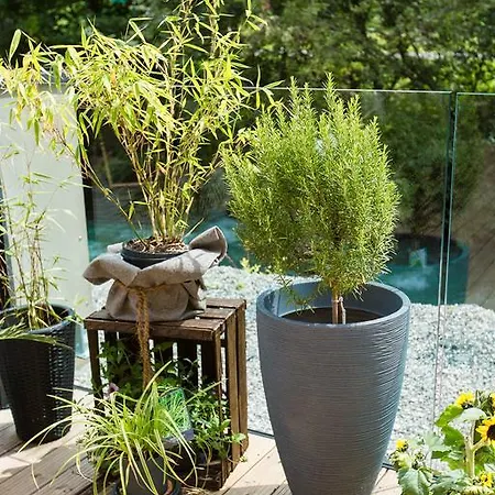 Blackriver Ferienhaus